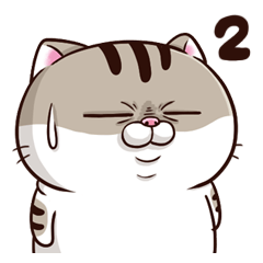 Ami เขาเป็นแมวอ้วน 2