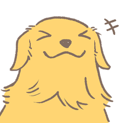 波可是隻黃金獵犬