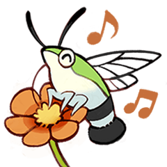 Little Hawkmoths!