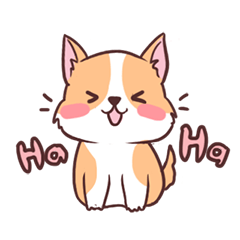 Coco the Cute Corgi