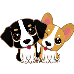 伯恩山犬+柯基的狗日常與新年祝賀