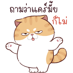 ซูโม่แคท : แมวจอมกวน 2