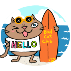 Juns の夏を楽しむ猫たち