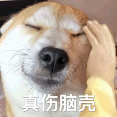 Funny firewood dog's daily life 3