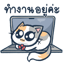 แมวทำงาน มุ้งมิ้ง