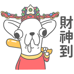 變種吉娃娃 財神到你家大門口