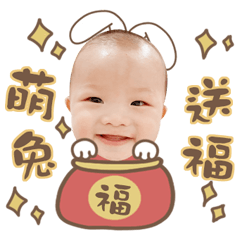 招財兔賀新年2023-碩寶
