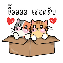 Chocco&Milk Couple