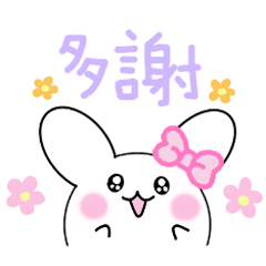 Mofumofu rabbit2