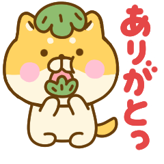 YuruShibainu spring