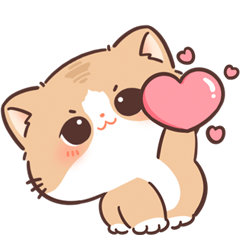 meowsom! :3