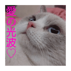 奧羅諾·薩克力斯·咪醬