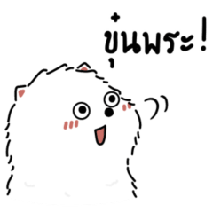 โคน่าเจ้าหมาน้อยขนปุย