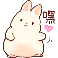 軟綿綿可愛兔子
