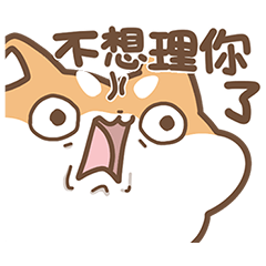 Marshmallow Shiba - Stressed Dog!