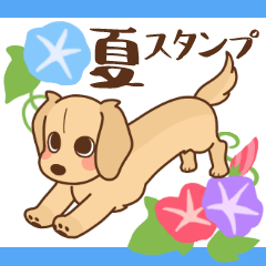 ダックス大好き季節・夏◆クリーム