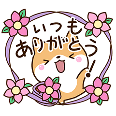 楽しい☆ちびシバ