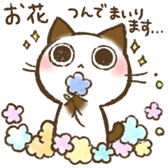 ちょこさん。～お花を飛ばす猫～【敬語】春