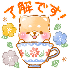 北欧で敬語❤️いやしばいぬ❤️柴犬