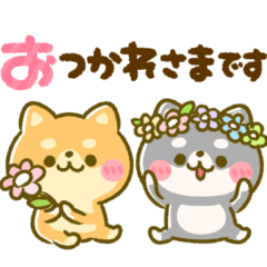 豆柴日和♡毎日使える基本の言葉