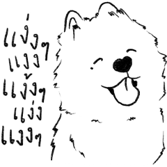 Samoyed Smiling Eyes