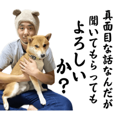 柴犬こむぎとあるじのステップ⑤
