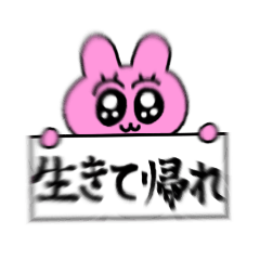 クソと戦うギャルうさぴ