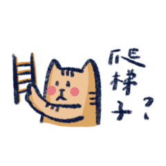 貓咪分組報告中