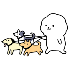 毎日使える？ビションフリーゼ2