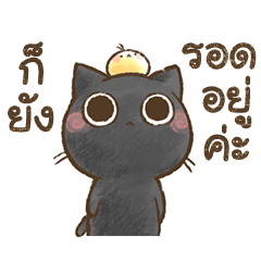 น้องแมวโอฮากิ ～พักหน่อยน้า～