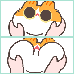 shrimp orange cat