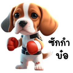 อู้กำเมือง (Ver.น้องบีเกิ้ล จอมซน)