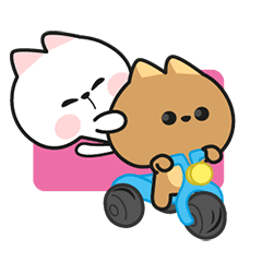 Lily & Choco : Couple Cat