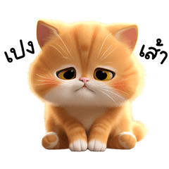 เหมียวเหมียวส้มส้ม :3
