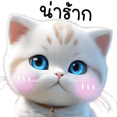โอโม่ แมวน่ารักคึกคักสดใส
