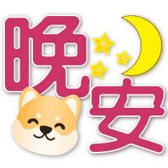 可愛柴犬 特大字超實用生活用語