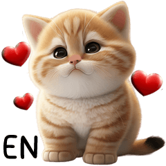 Orange Cat So Cute (ENG)
