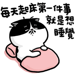 點點貓 3