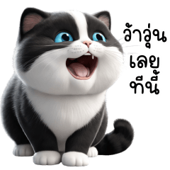แมวหน้ากากน่ารัก ตัวตึง