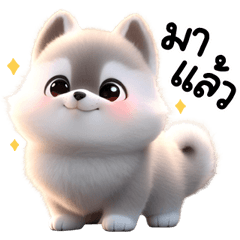 แก๊งหมาน้อย!