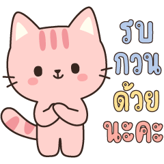 พุดดิ้ง แมวชมพู คำพูดทำงาน