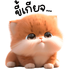 Meowsomsom!