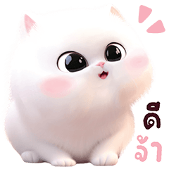 แมวมาร์ชแมลโลว์v.2