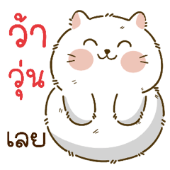 แมวขาว ปุกปุย