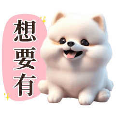 可愛的白色博美犬