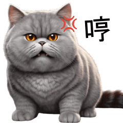 可愛的灰色肥貓