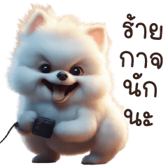 ปอม ปอม หมาปอมเเสนดี