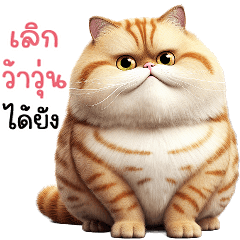 ❤️สลิดอ้วน ก๊วนว้าวุ่น❤️ (Big)