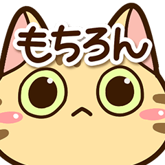 とらコ☆どアップ