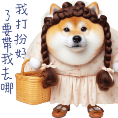 圓柴柴之超嗆的小可愛